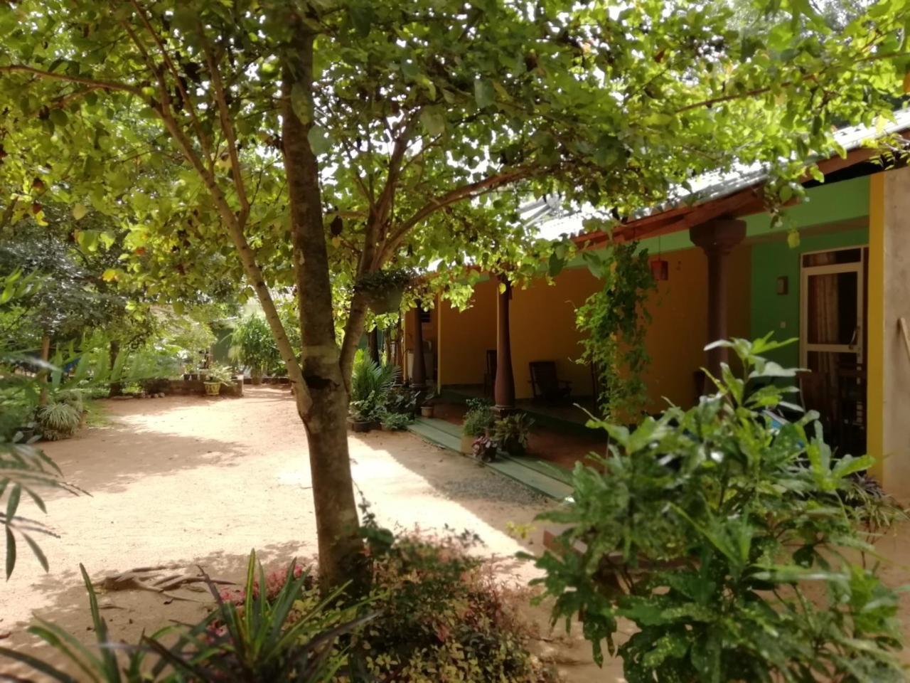 Sigiri La Veranda Lodge Kibissa Bagian luar foto