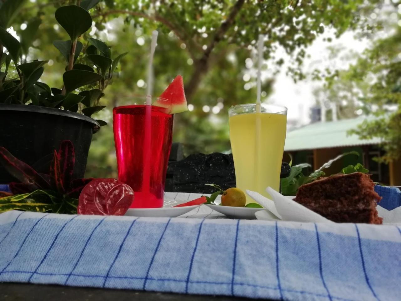 Sigiri La Veranda Lodge Kibissa Bagian luar foto
