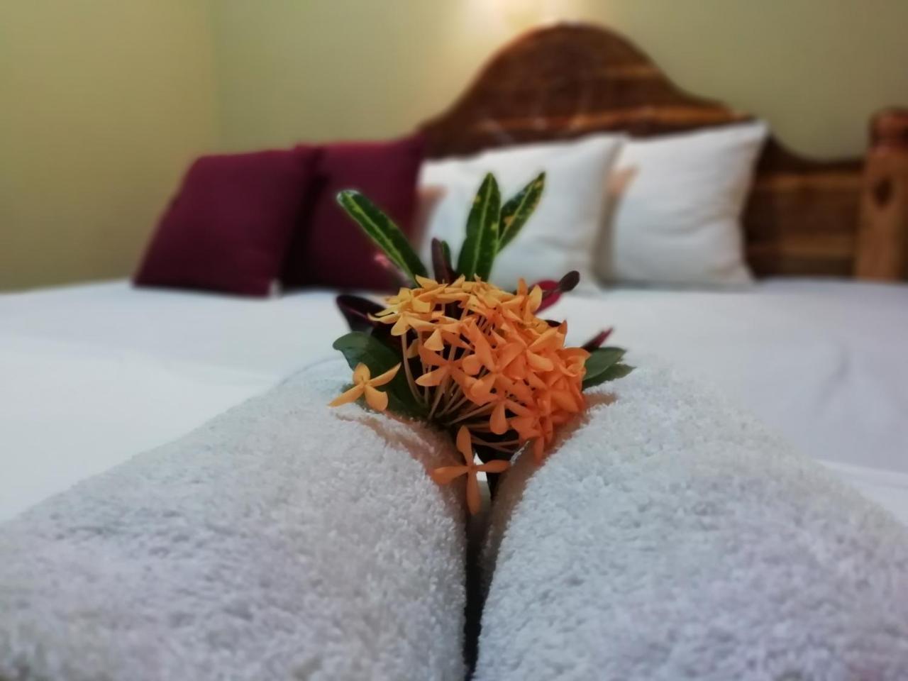 Sigiri La Veranda Lodge Kibissa Bagian luar foto