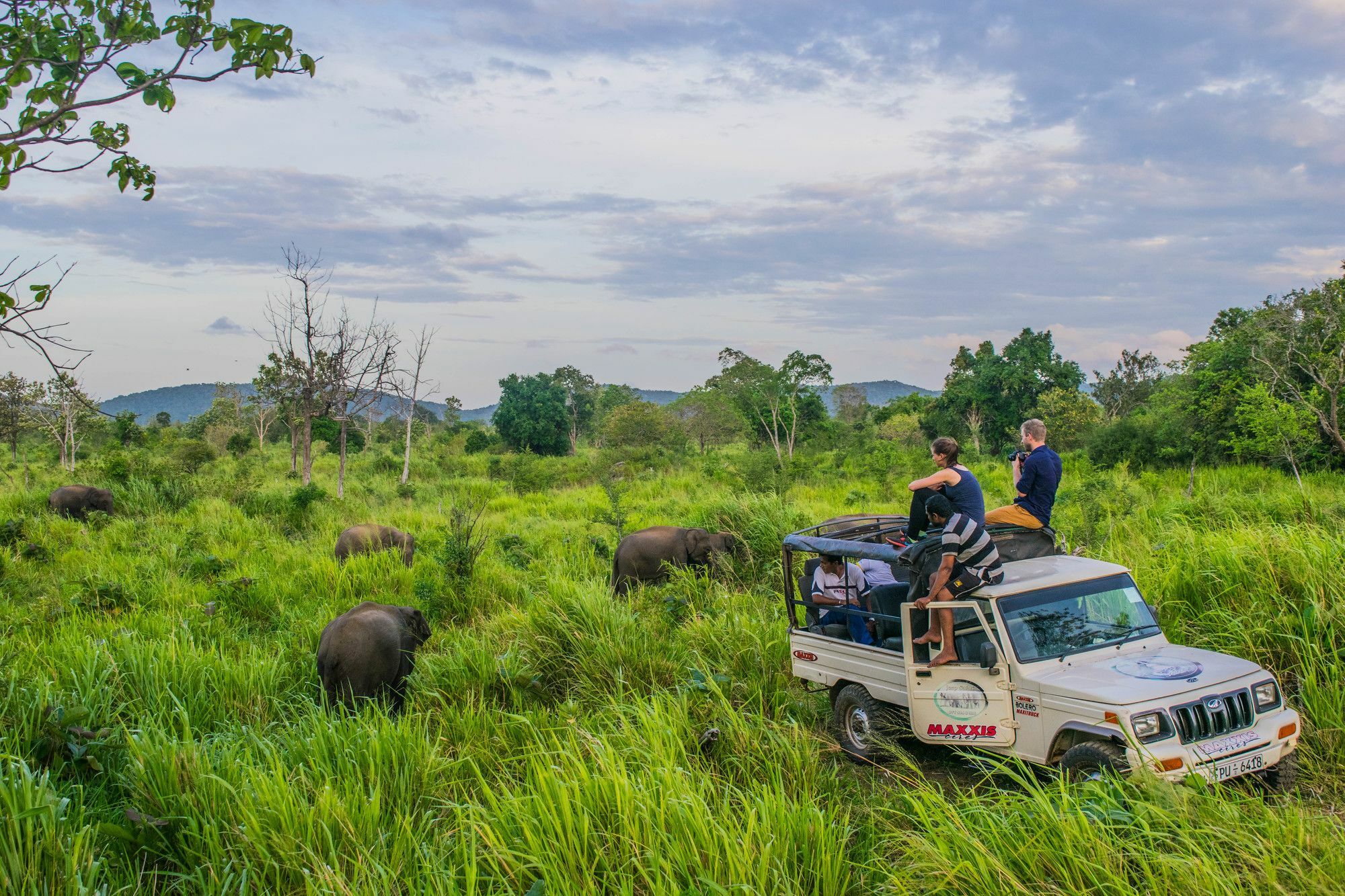 Sigiri La Veranda Lodge Kibissa Bagian luar foto